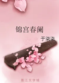 《锦宫春阑》小说封面