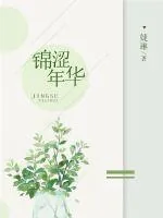 《锦涩年华》小说封面