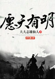 《愿天有明》小说封面