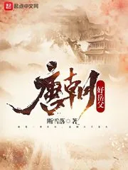 《唐朝好岳父》小说封面