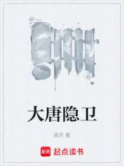 《大唐隐卫》小说封面
