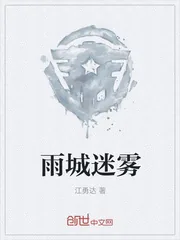 《雨城迷雾》小说封面