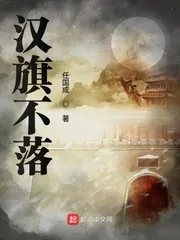 《汉旗不落》小说封面