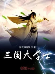 《三国大学士》小说封面