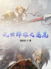 《乱世群雄之逐鹿》小说封面