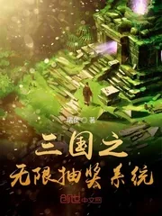 《三国之无限抽奖系统》小说封面