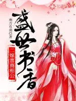 《盛世书香：二嫁富商相公》小说封面
