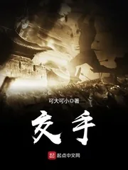 《交手》小说封面