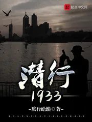 《潜行1933》小说封面