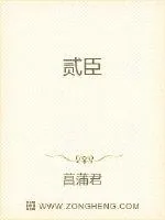 《贰臣》小说封面
