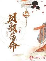 《凤颜薄命》小说封面