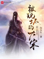 《被玩坏的大宋》小说封面