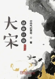 《大宋拯救计划》小说封面