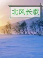《北风长歌第一部大风起兮》小说封面
