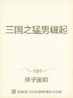 《三国之猛男崛起》小说封面