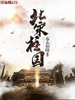 《北宋柱国》小说封面