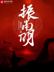《振南明》小说封面