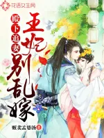 《殿下追妻：王妃别乱嫁》小说封面