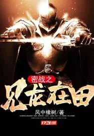 《密战之见龙在田》小说封面