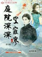 《庭院深深空寂寥》小说封面