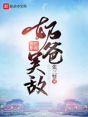 《奶爸吴敌》小说封面