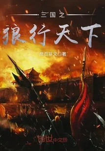 《三国之狼行天下》小说封面