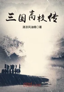 《三国高校传》小说封面