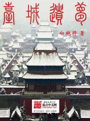 《台城遗梦》小说封面