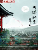 《天道酬秦》小说封面