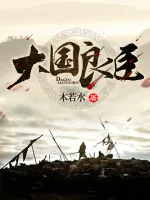 《大国良臣》小说封面