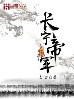 《长宁帝军》小说封面
