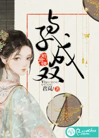 《前世镜：与子成双》小说封面