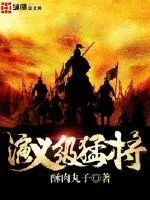 《演义级猛将》小说封面