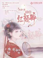 《顾得红颜醉》小说封面