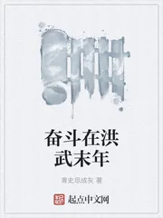 《奋斗在洪武末年》小说封面