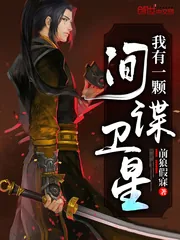《我有一颗间谍卫星》小说封面
