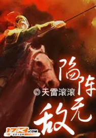《三国之陷阵无敌》小说封面