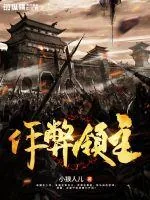 《作弊领主》小说封面