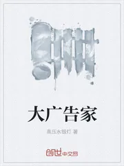 《大广告家》小说封面