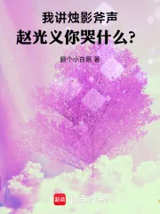 《我讲烛影斧声，赵光义你哭什么？》小说封面