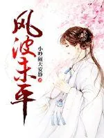 《风波未平》小说封面