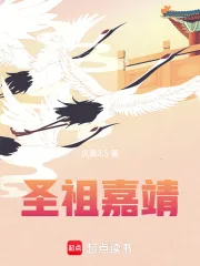 《圣祖嘉靖》小说封面