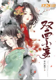 《双面小妾》小说封面