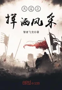 《大辽之挥洒风采》小说封面