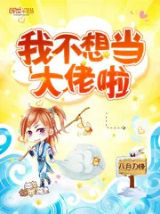 《我不想当大佬啦》小说封面