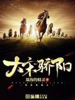 《大宋骄阳》小说封面