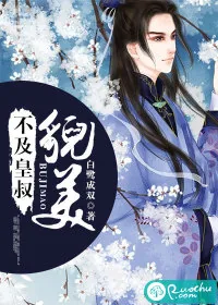 《不及皇叔貌美》小说封面