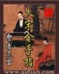《大宋金手指》小说封面