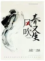 《风吹春又生》小说封面