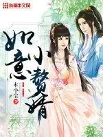 《如意小赘婿》小说封面